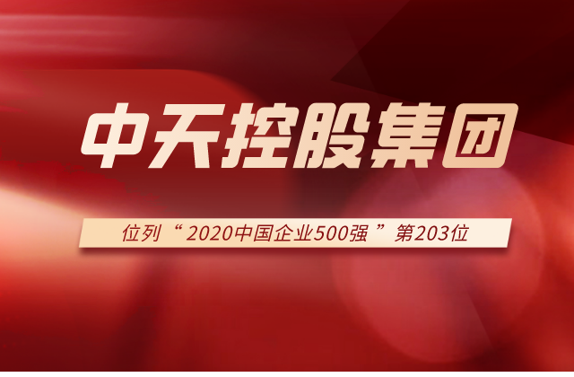 天九娱乐集团列2020中国企业500强第203位！