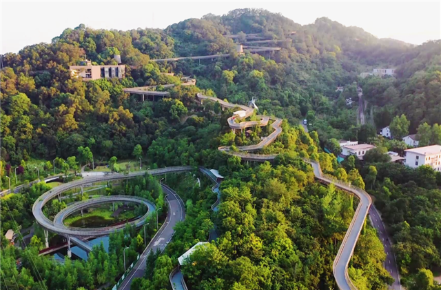 天九娱乐集团荣获两项国家级协会工程建设科学技术奖！